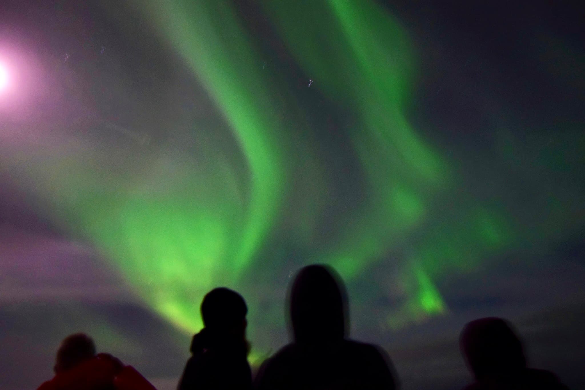 Reykjavík Whales & Northern Lights