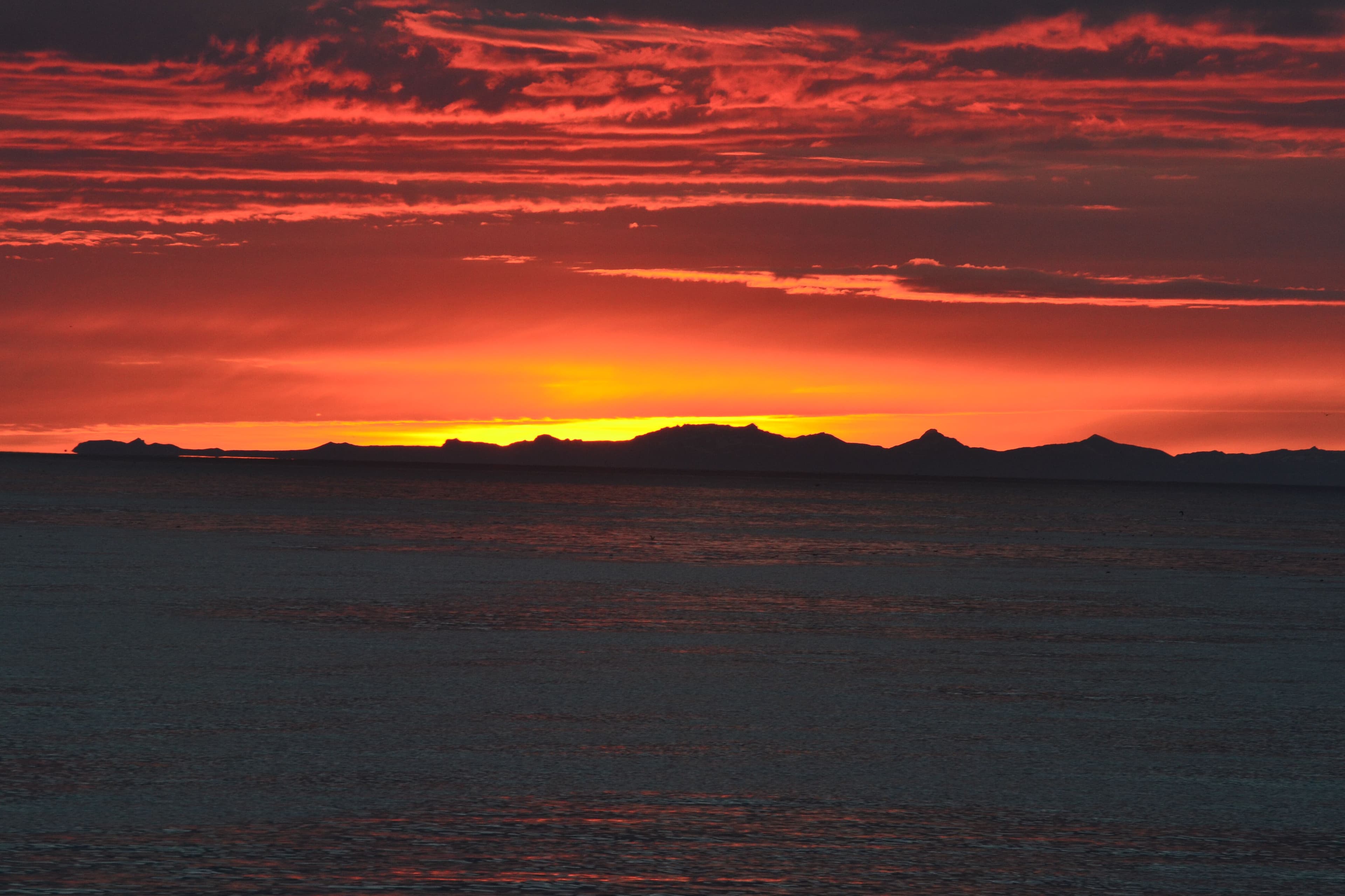 Reykjavík Classic Whales in the Midnight Sun - photo 14