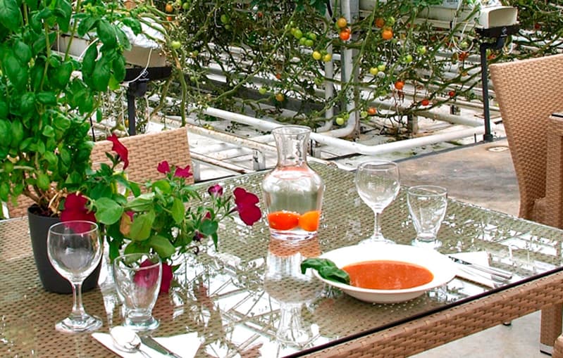 Private Gourmet Golden Circle Tour