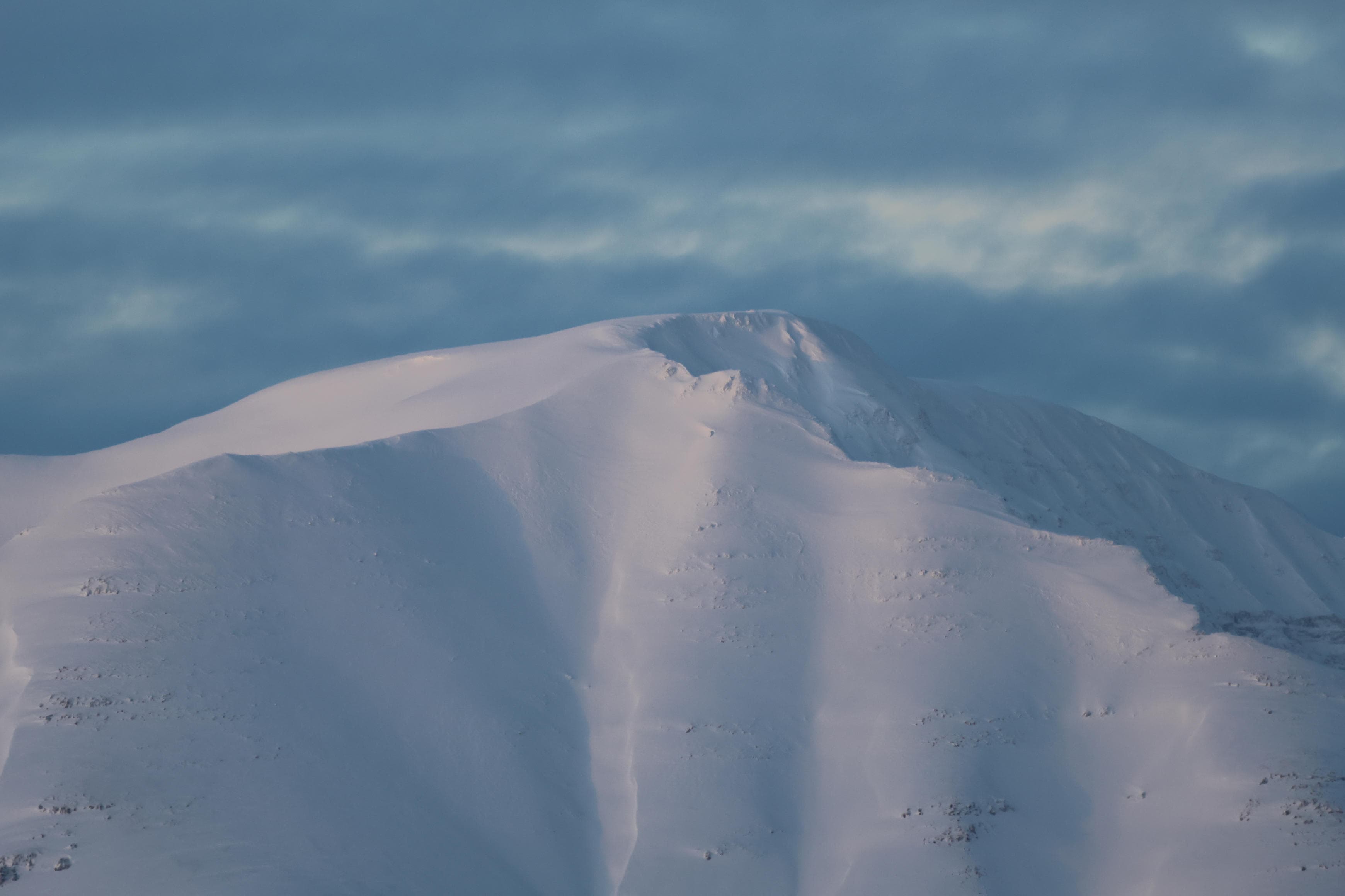Akureyri Classic Whale Watching - photo 16