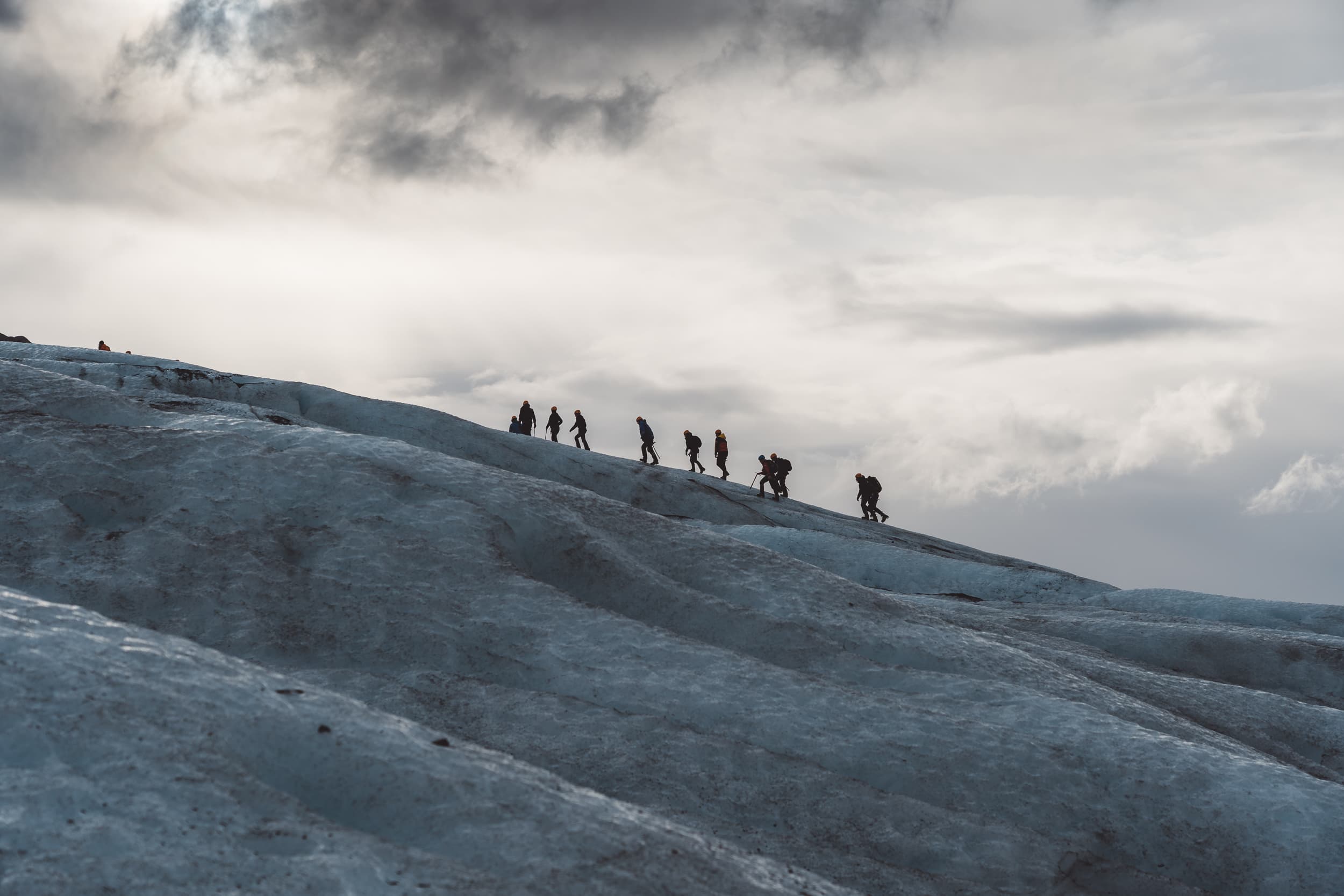 Glacier Encounter 