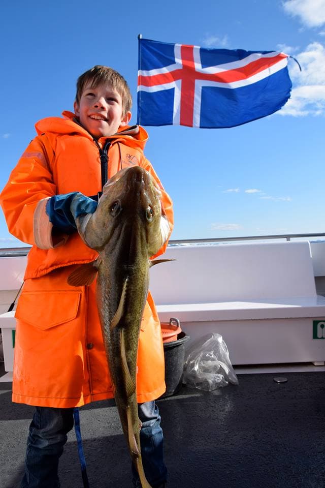 Sea Angling - photo 8