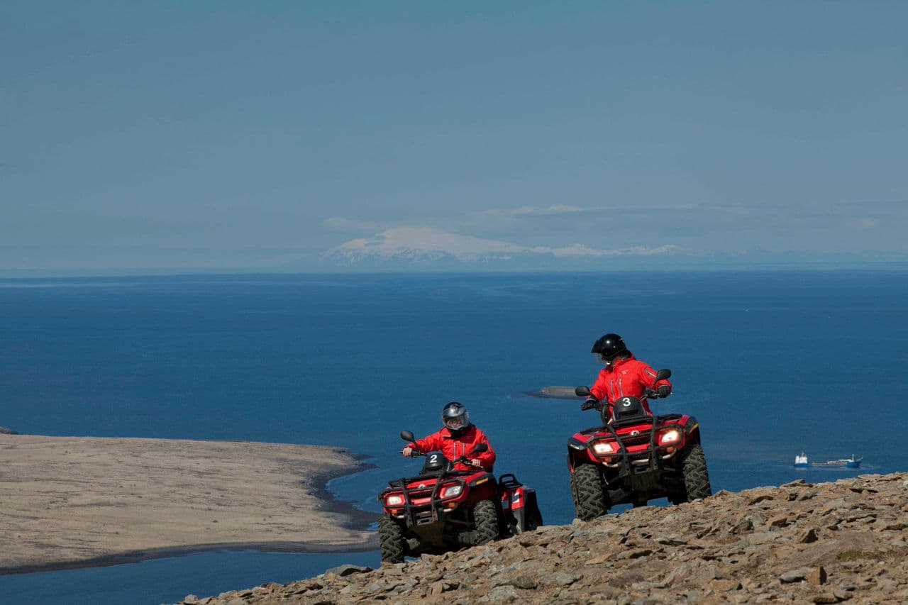 Reykjavík Whales & ATV - photo 10