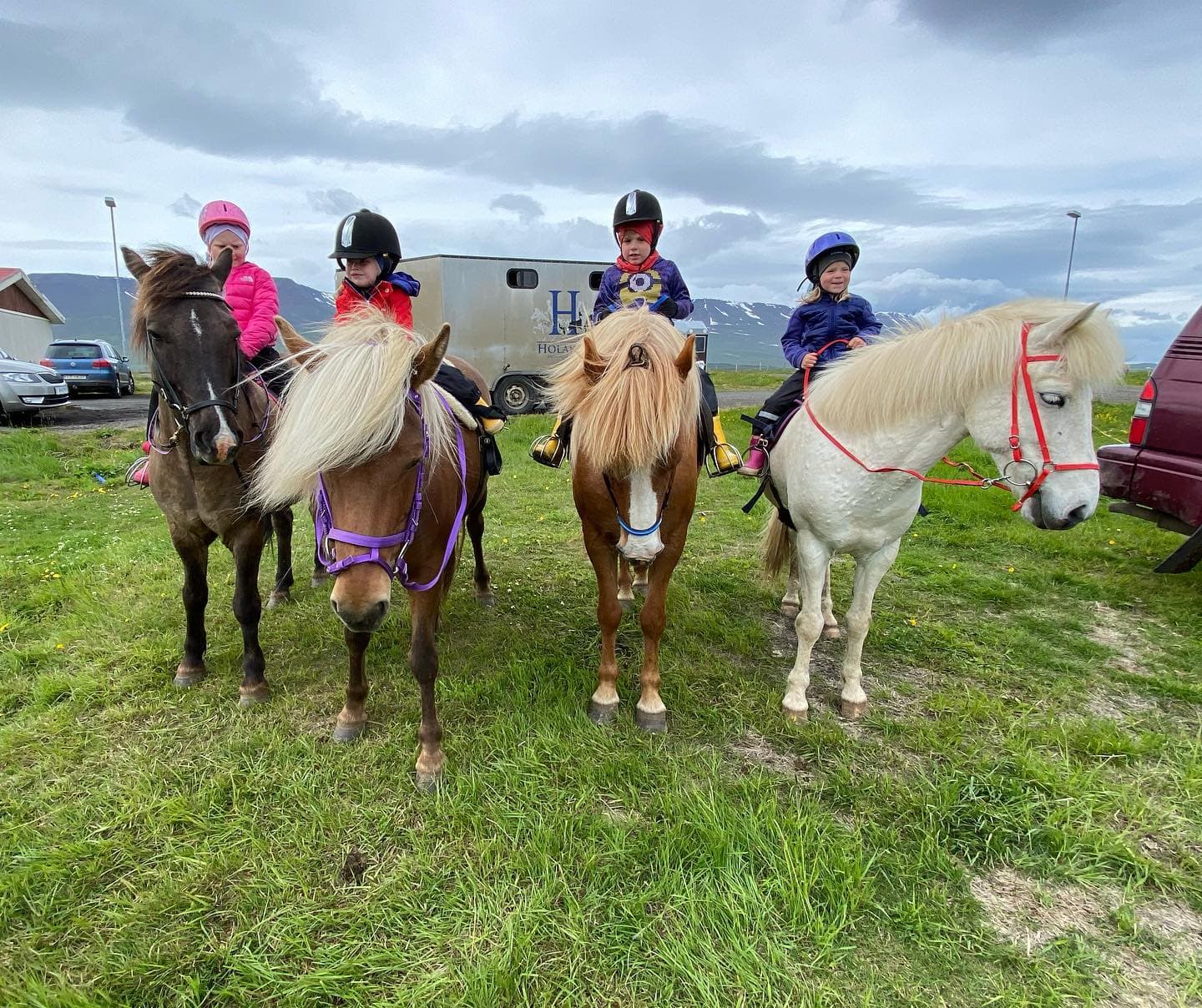 Horse Riding Tour and Explore Scenery in Gásir Akureyri - photo 7
