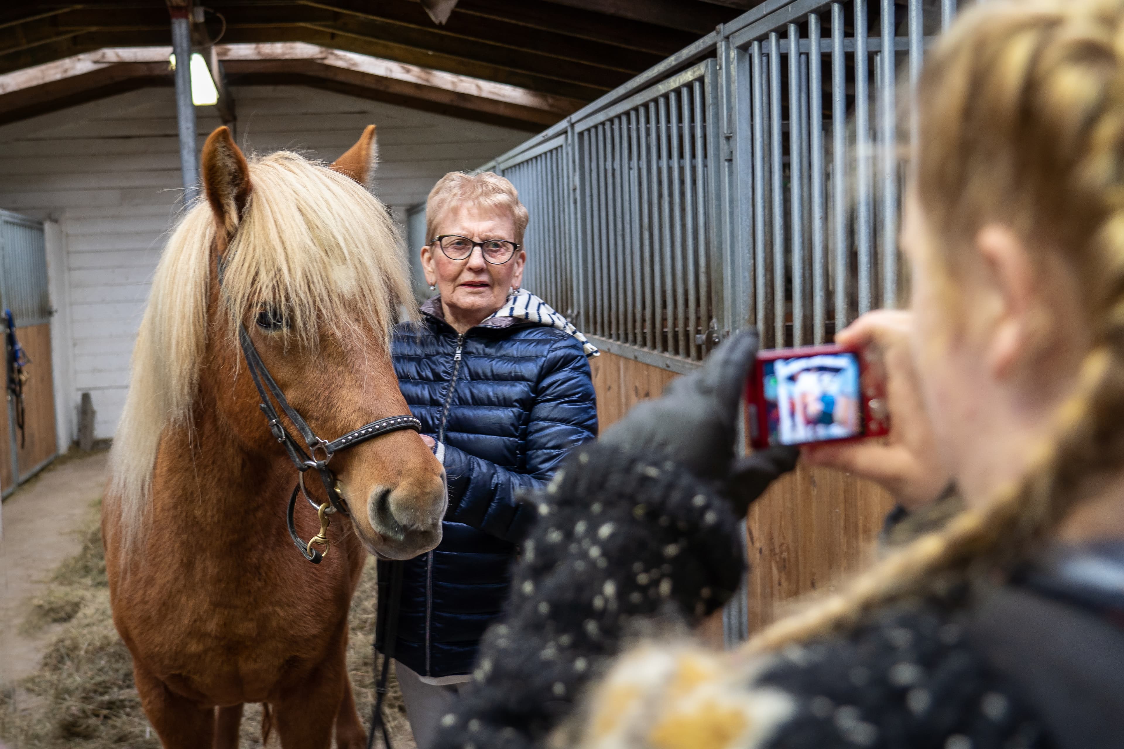 Date the Icelandic Horse - photo 5