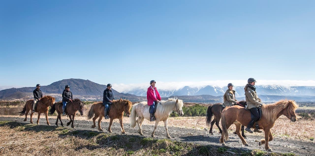 Lava Tour - Horseback Riding through the Lava Fields - photo 26