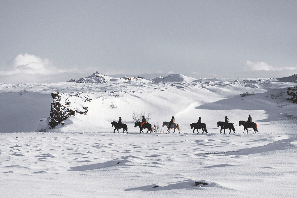 Horse Riding & Caving From Reykjavík - photo 7