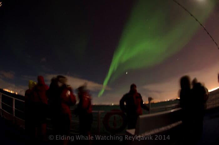 Reykjavík Northern Lights Cruise including pickup - photo 10