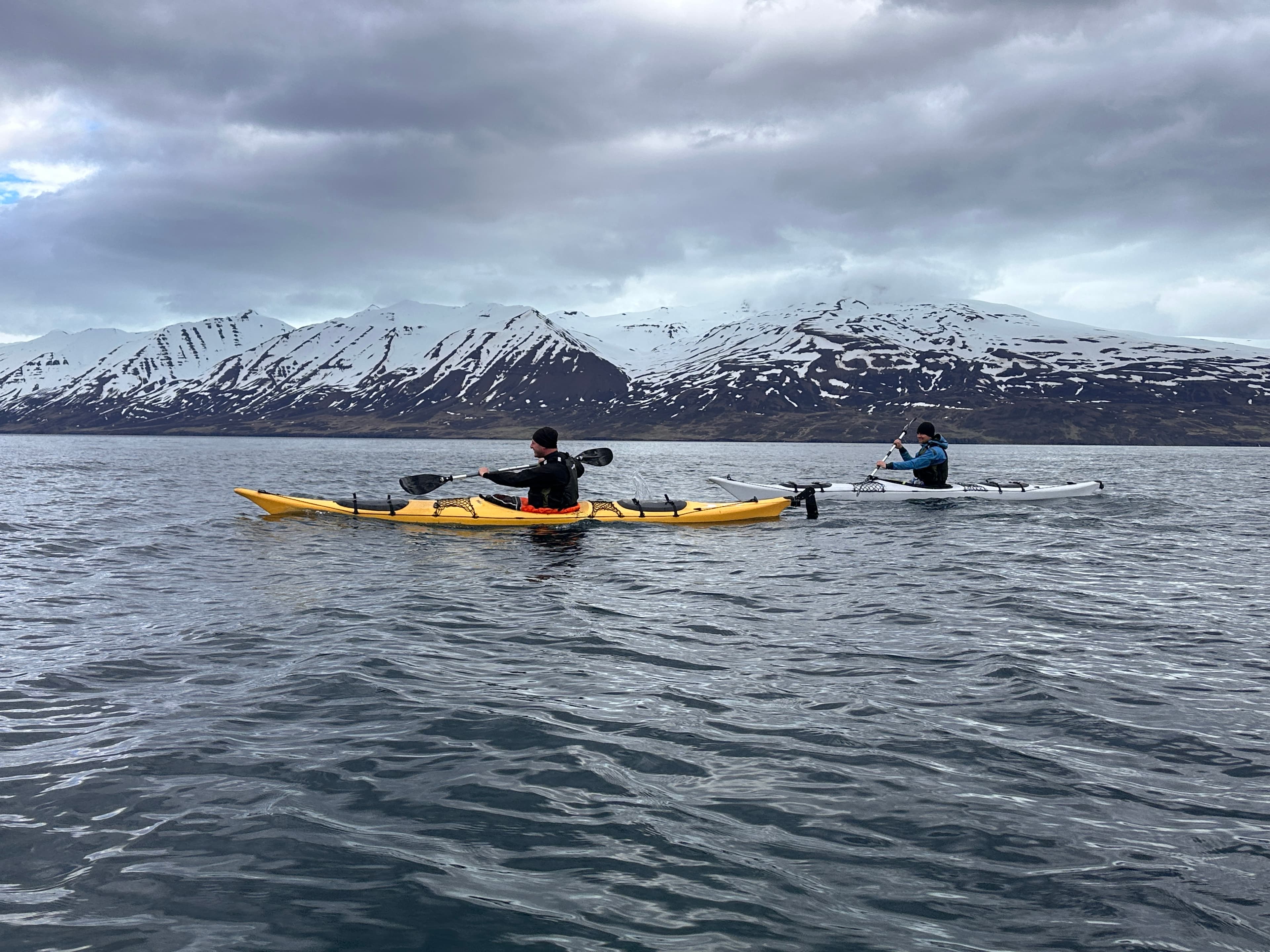 Guided Kayak Tour in Árskógssandur: Explore Coastline & Wildlife - photo 13
