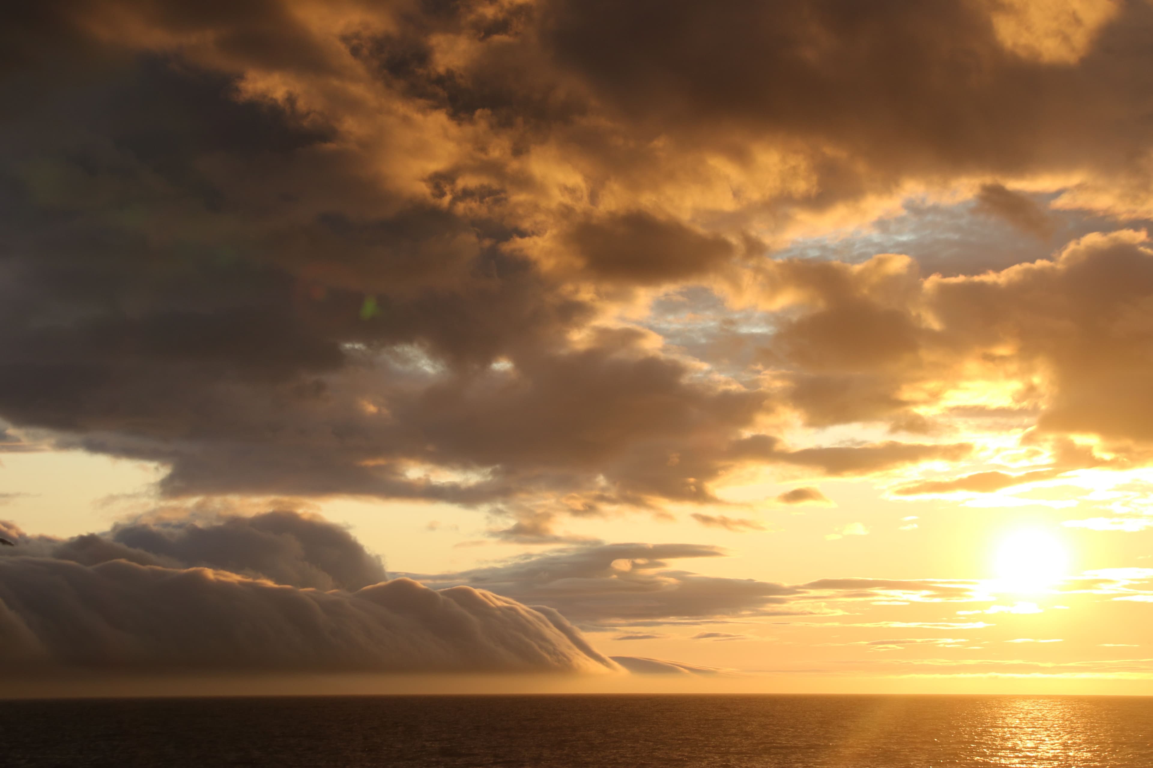 Akureyri Classic Whales in the Midnight Sun - photo 8