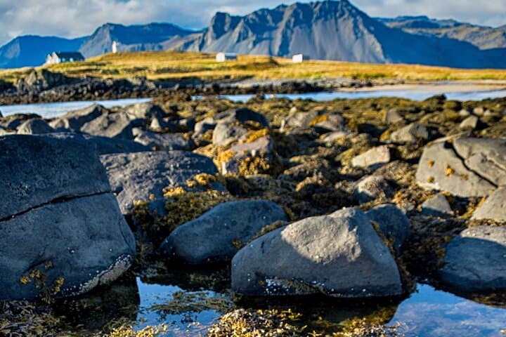 West Iceland: Exclusive Day Tour of Snaefellsnes Peninsula - photo 16