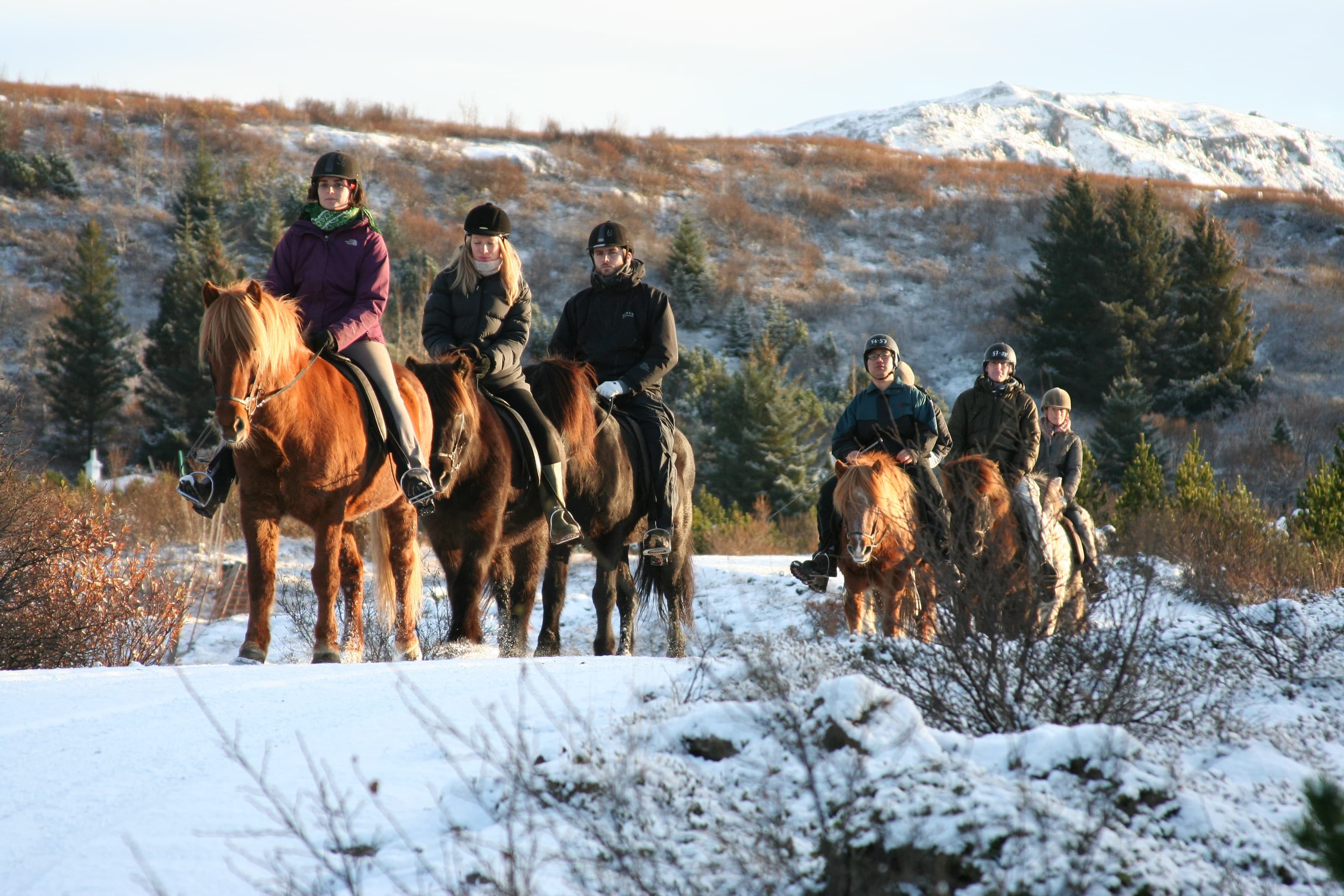 Lava Tour - Horseback Riding through the Lava Fields - photo 3