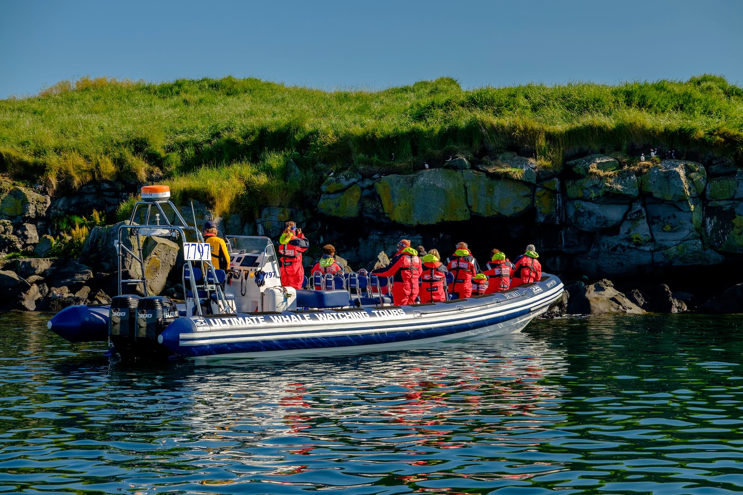 Premium Puffin Tour - photo 2