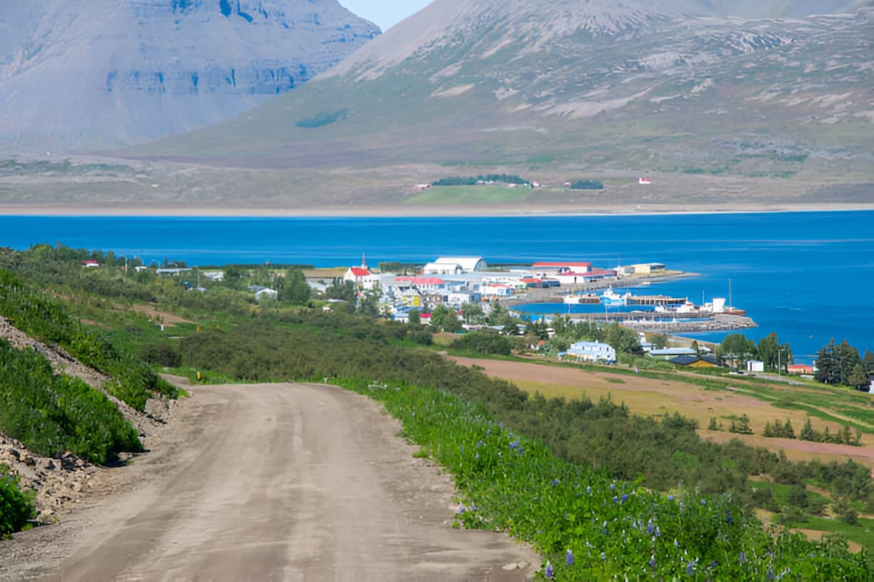  Private tour from Isafjordur Port: Dynjandi Waterfall & Westfjords Panorama - photo 5