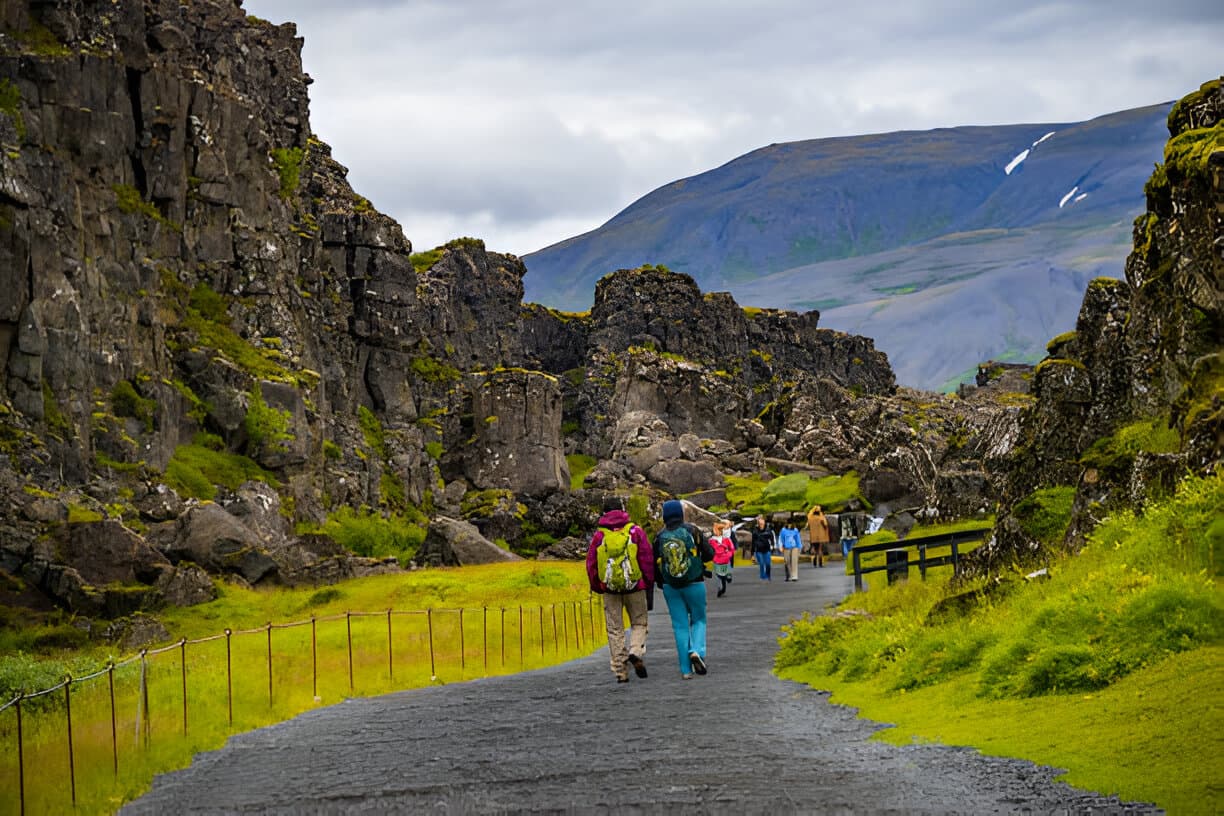 Golden Circle & Friðheimar Visit From Reykjavik - Small Group Tour - photo 13
