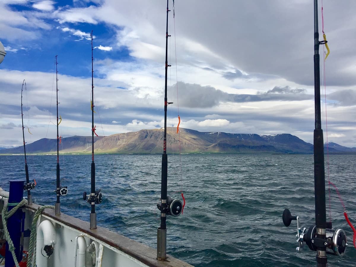 Sunset Fishing in Faxaflói Bay: 2.5-3 Hour Excursion
