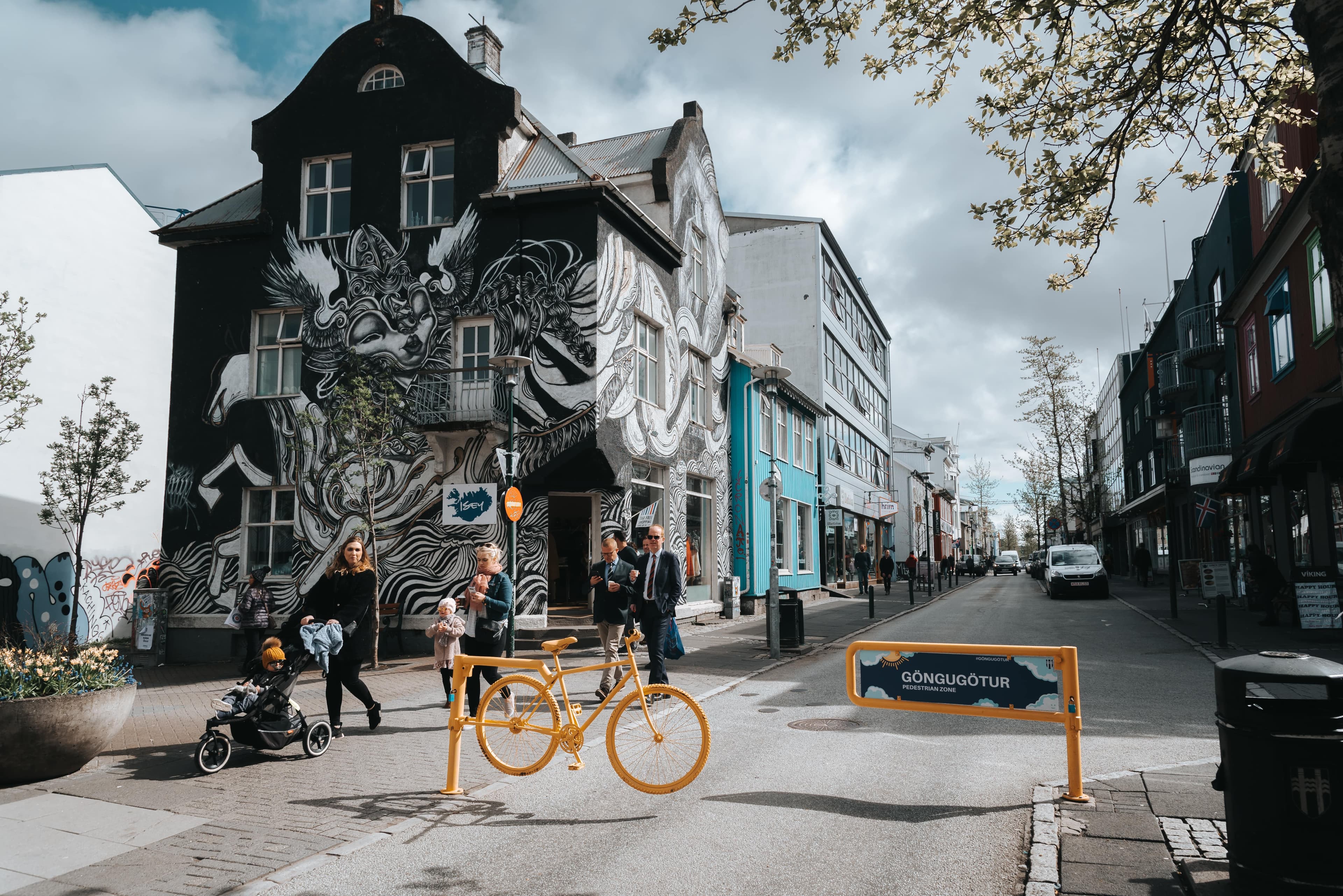Private Reykjavik Street Art & Photo Friendly Walking Tour - photo 12