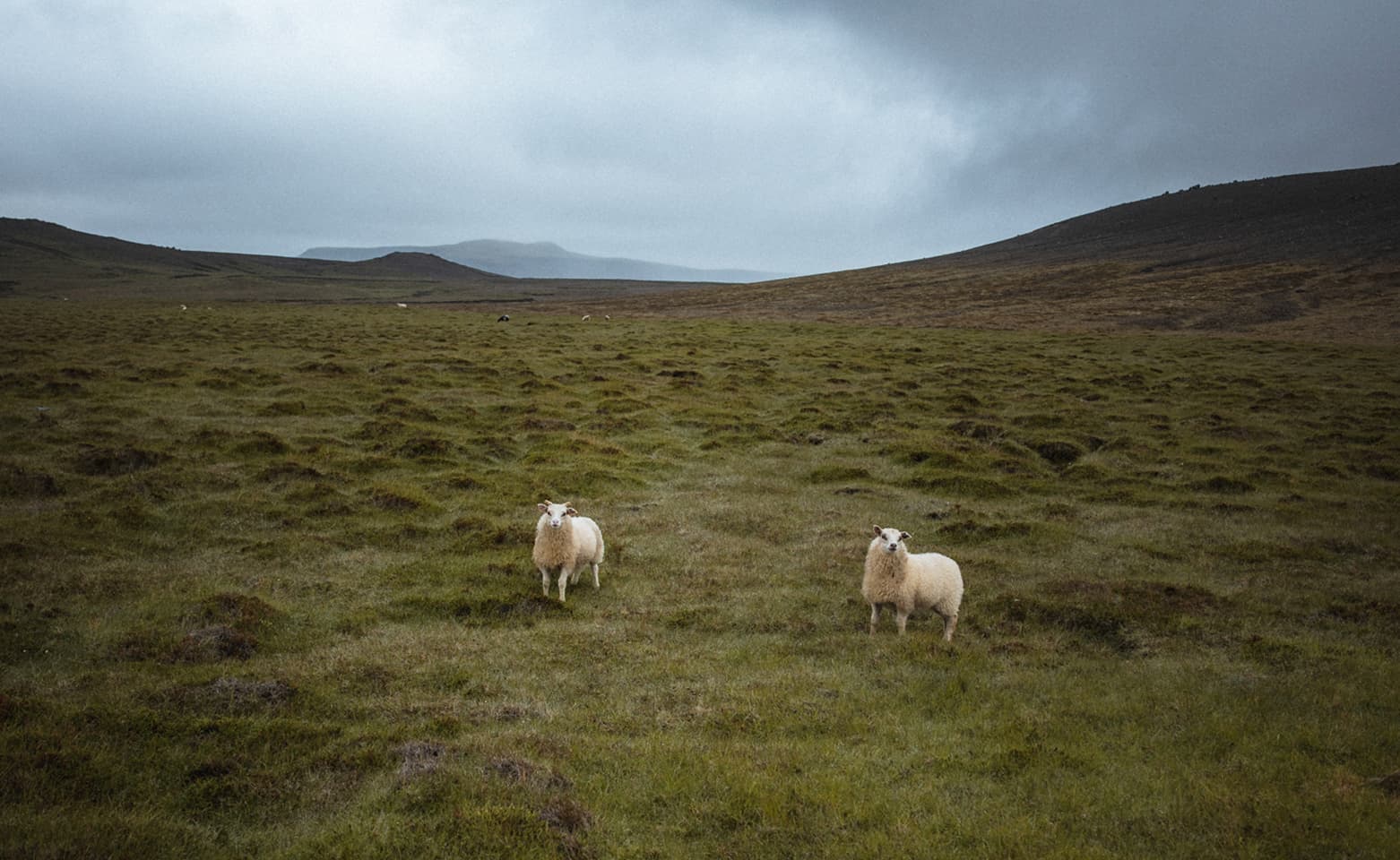 Reykjanes Peninsula | Private Tour | Photo Package Included - photo 22