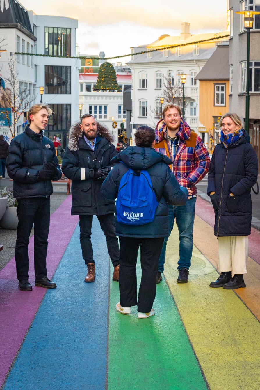 Northern Lights Cruise & The Reykjavík Food Walk - photo 3