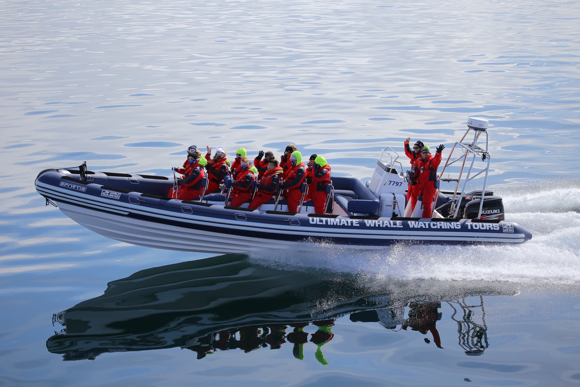 Reykjavík Premium Whale Watching - photo 7