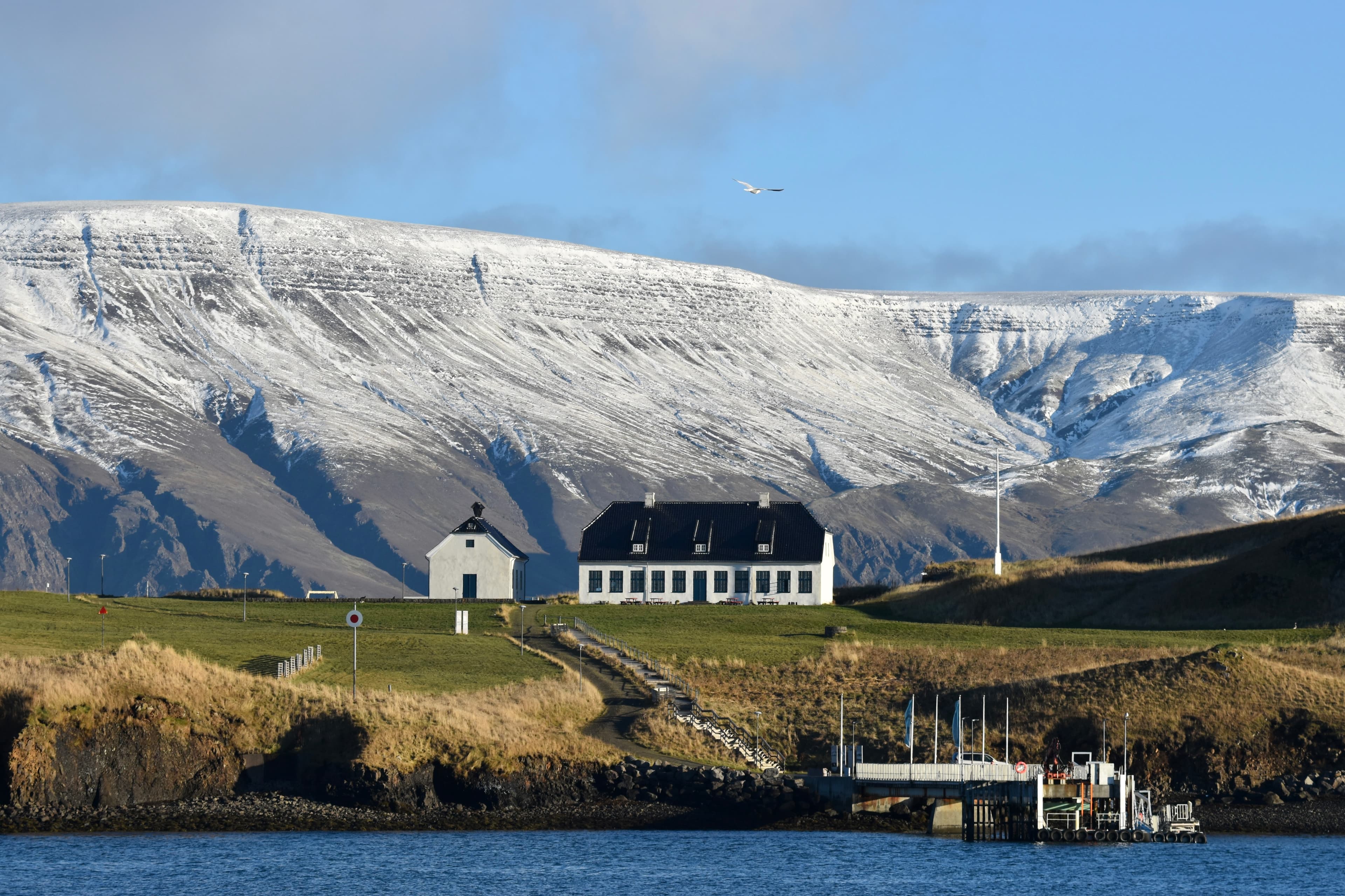 Viðey Ferry - from Skarfabakki - photo 5