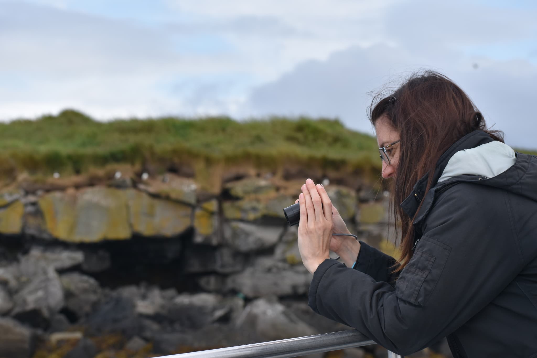 Reykjavík Classic Puffin Watching - photo 24