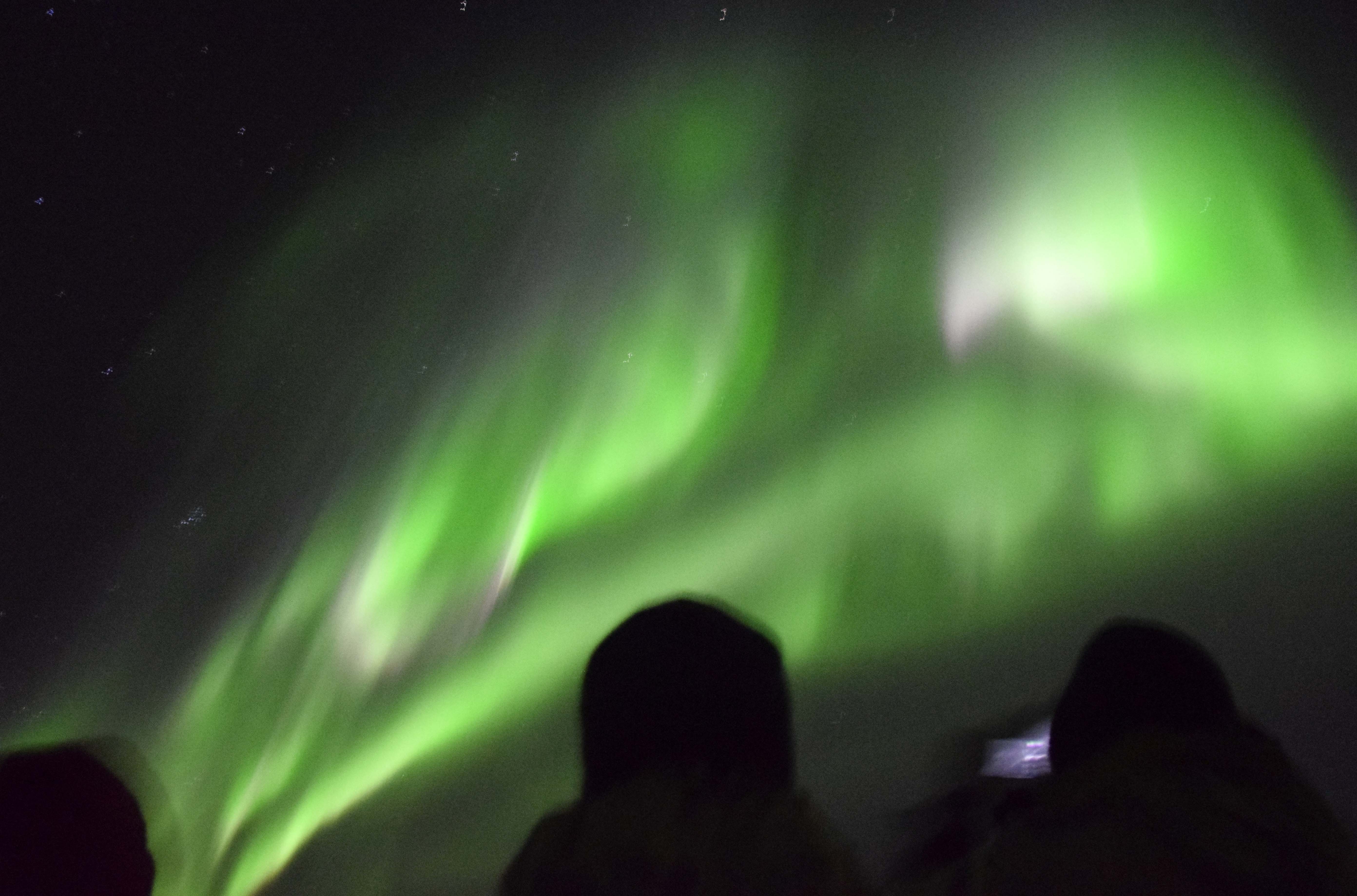 Whales & Auroras - photo 9