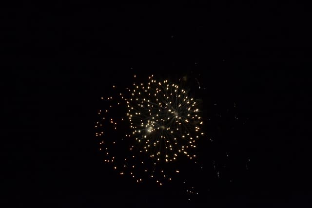 New Year's Eve Yacht Cruise - photo 27