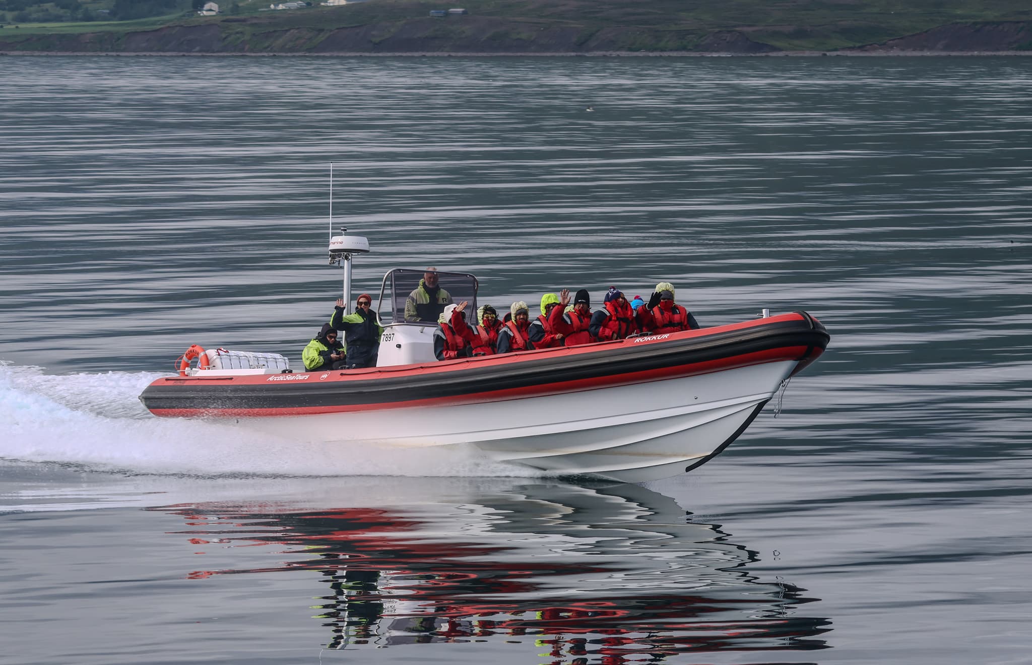 Express Whale Watching From Dalvík - photo 2