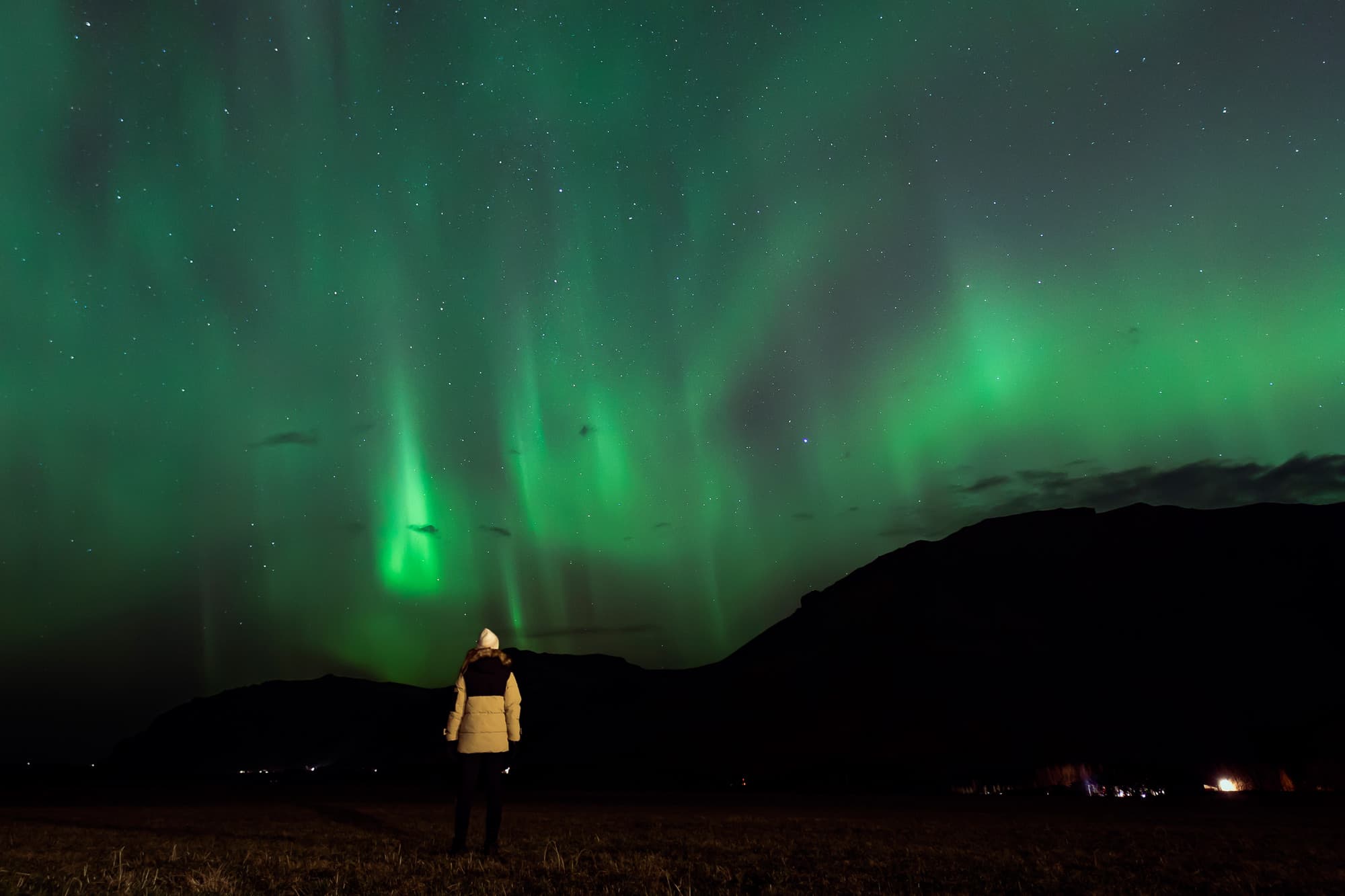 Northern Lights in Mini Bus with Local Pastries, Hot Chocolate and Photos - photo 12
