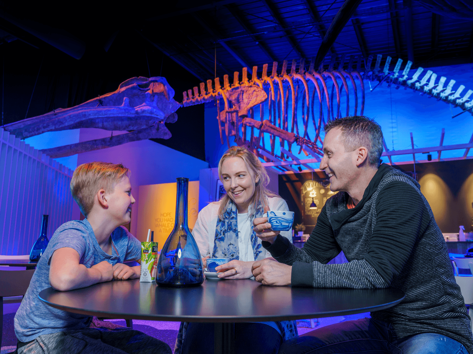 Whale Watching & Whales of Iceland Museum