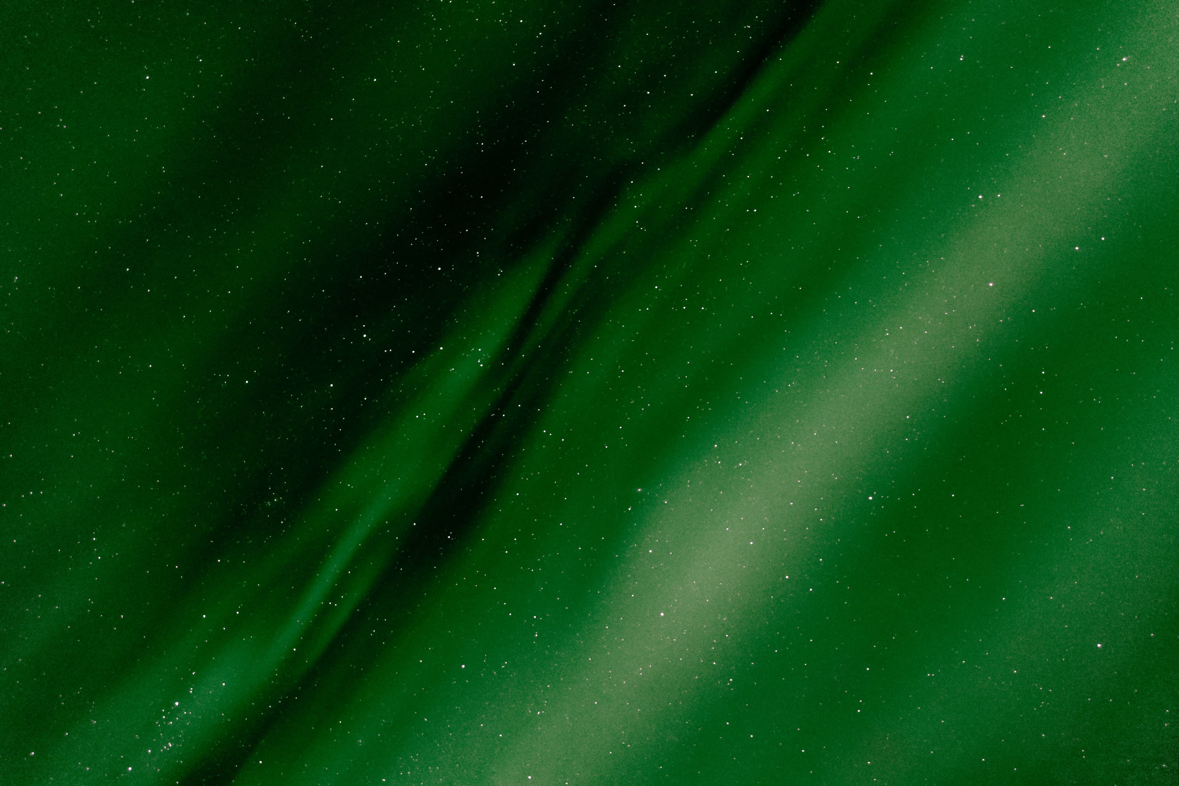 Private Northern Lights Hunt: Minivan - photo 14
