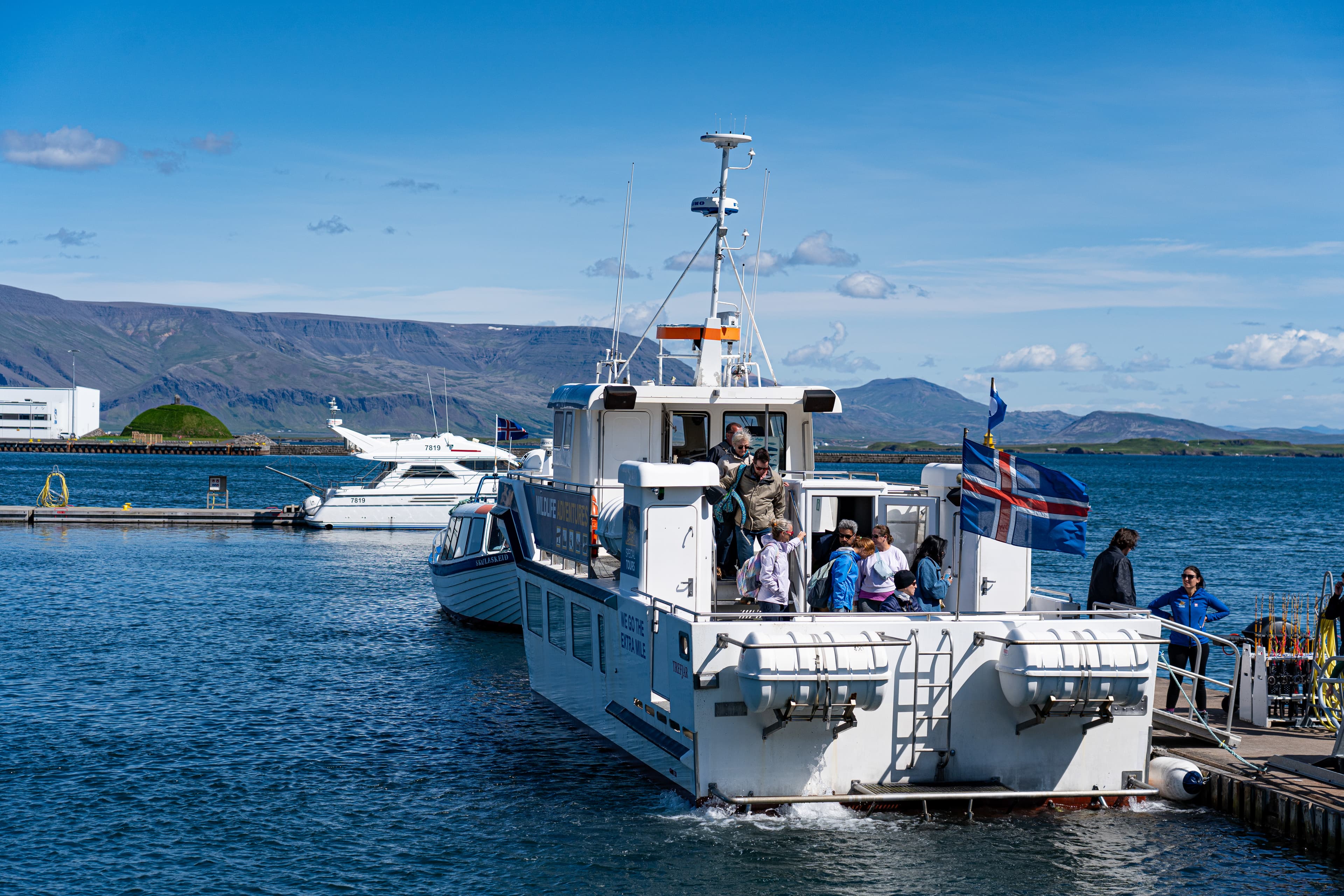 Best Value Whale Watching tour from Reykjavik - photo 3