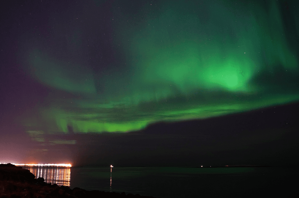 New Year's Eve Yacht Cruise - photo 13