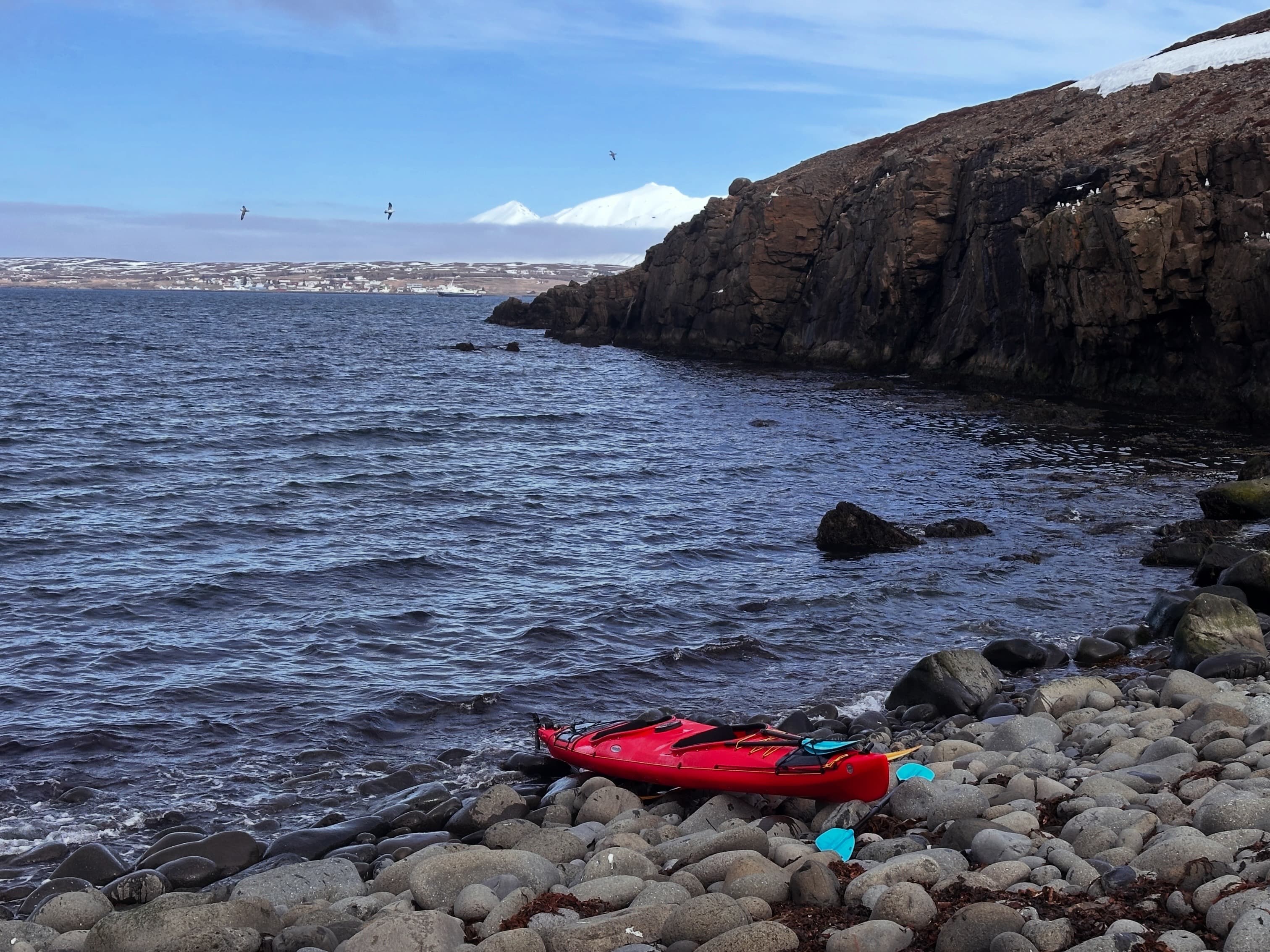 Guided Kayak Tour in Árskógssandur: Explore Coastline & Wildlife - photo 12