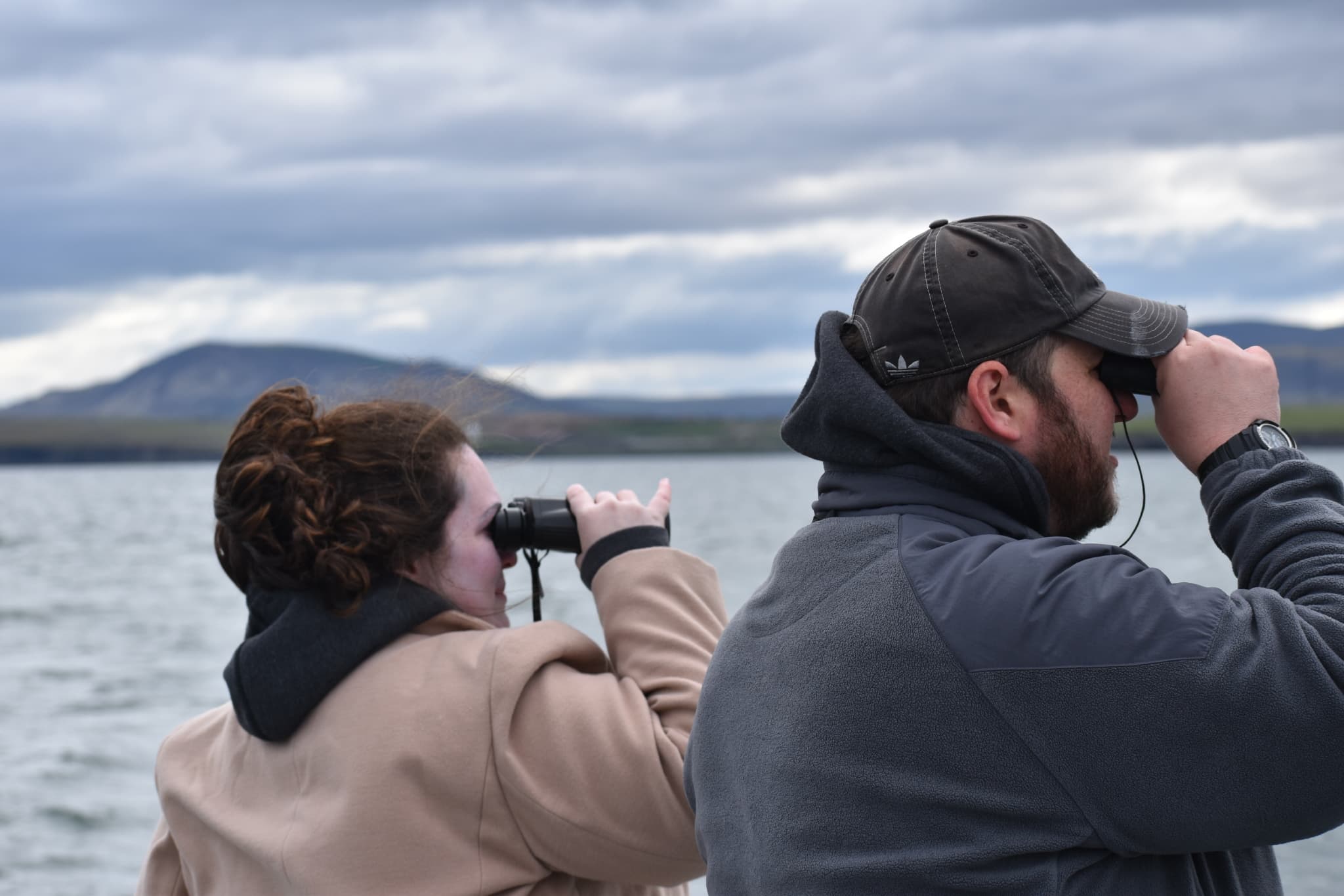 Reykjavík Classic Puffin Watching - photo 25