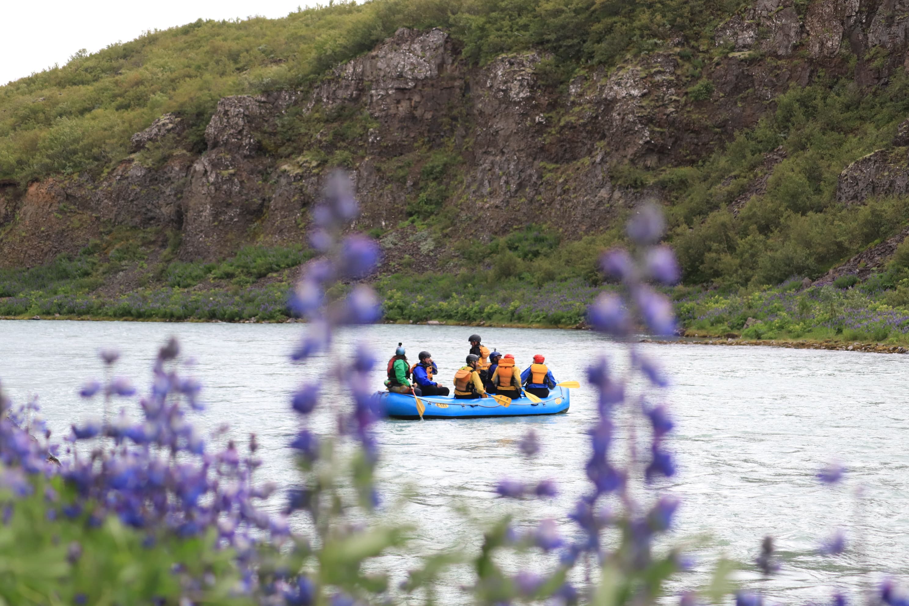 Rafting & Whale Watching - photo 5