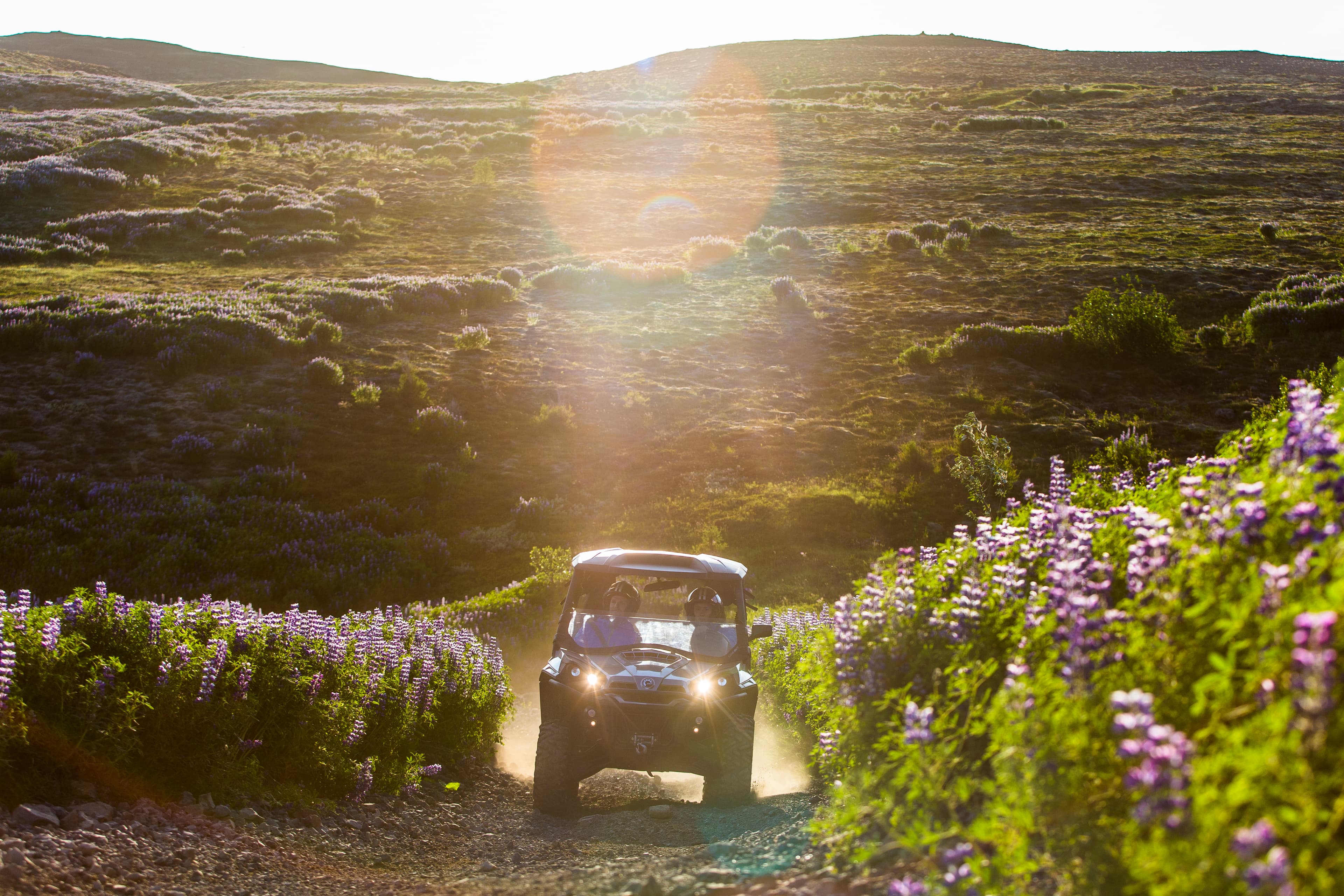 2.5 Hours Lava Field Buggy - photo 18