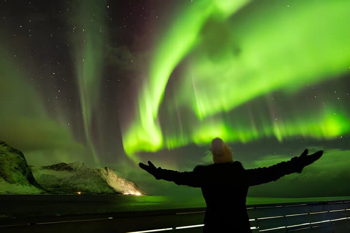 Aurora Pursuit: Private Northern Lights Hunt Tour from Reykjavik - photo 4
