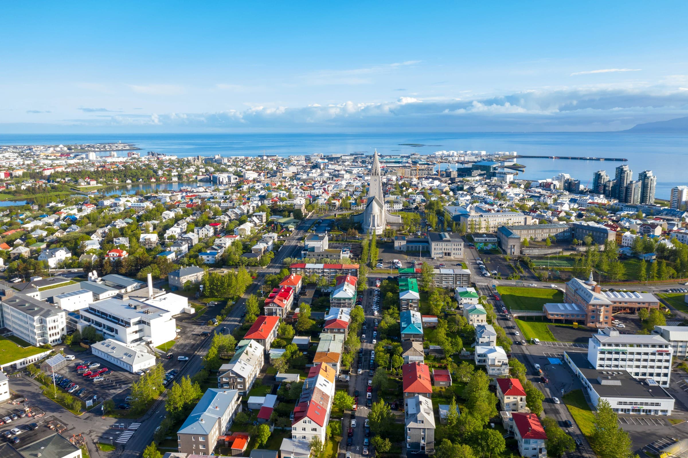 Keflavik Area Hotels to or from Reykjavik Cruise Port: Private Transfer by Sedan or Van - photo 10