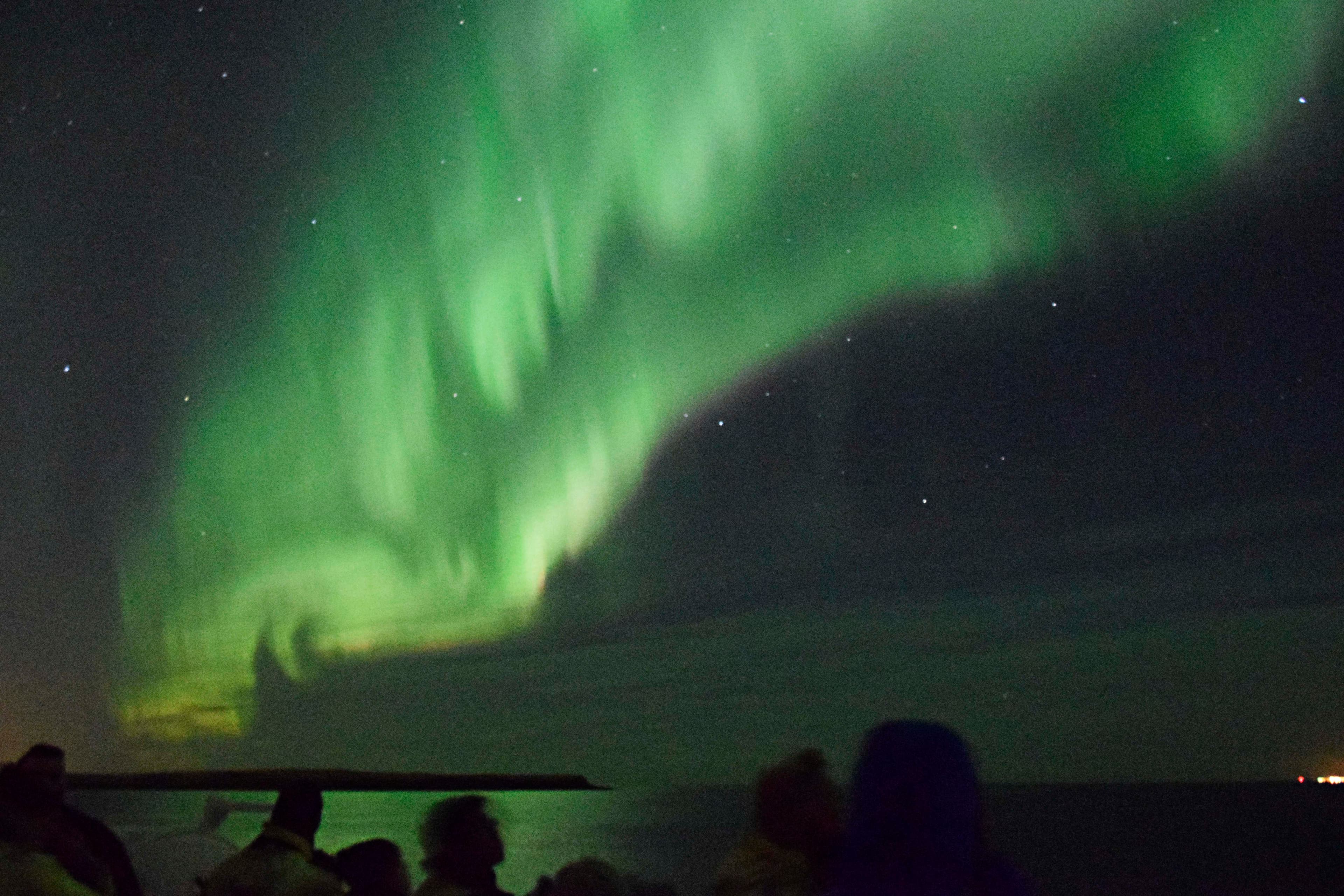 Northern Lights by Boat - photo 10