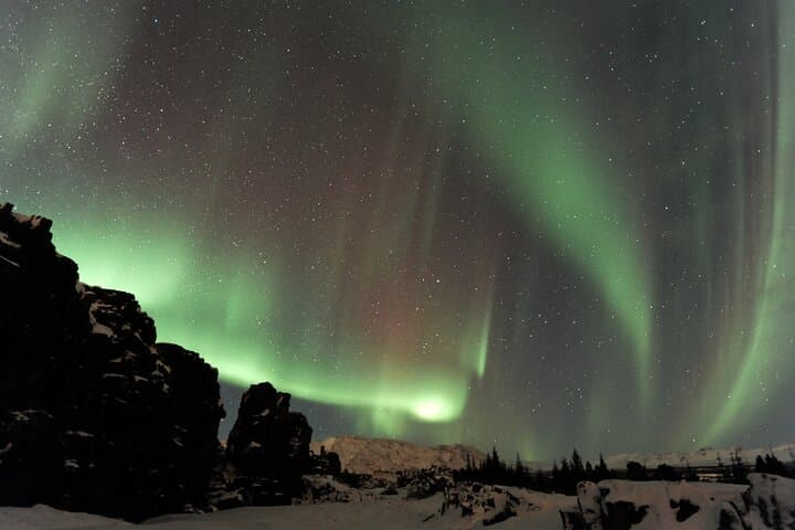  Forest Lagoon and Northern Lights Guided Night Tour  - photo 4