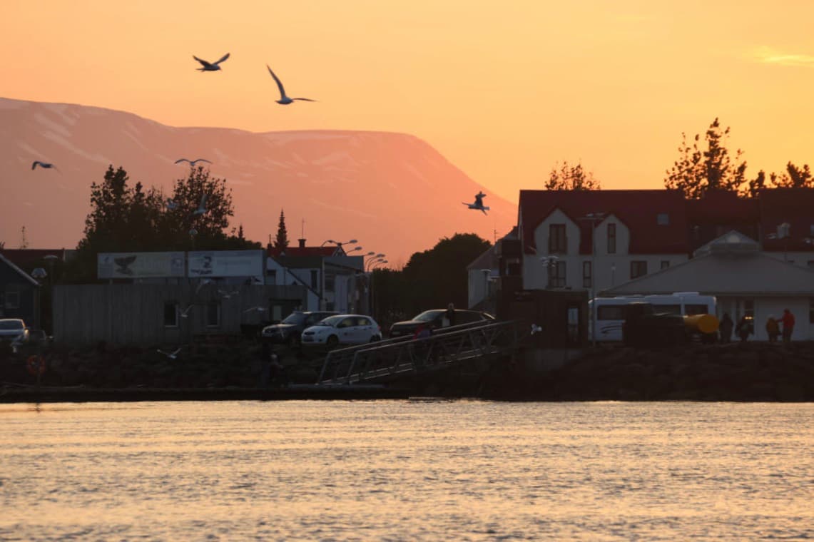 Akureyri Express Whales in the Midnight Sun - photo 12