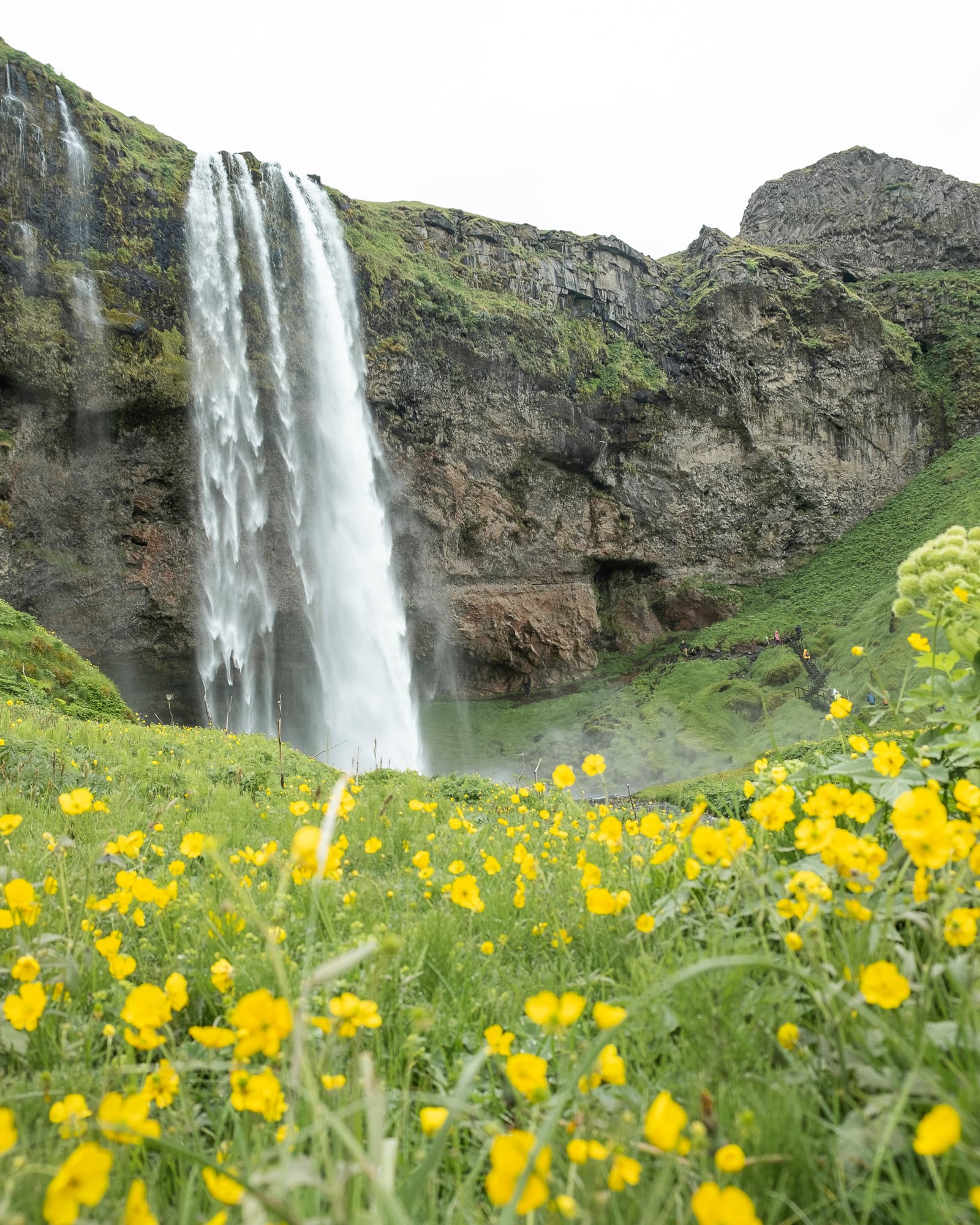 South Coast Tour & Vík Lava Show - photo 16