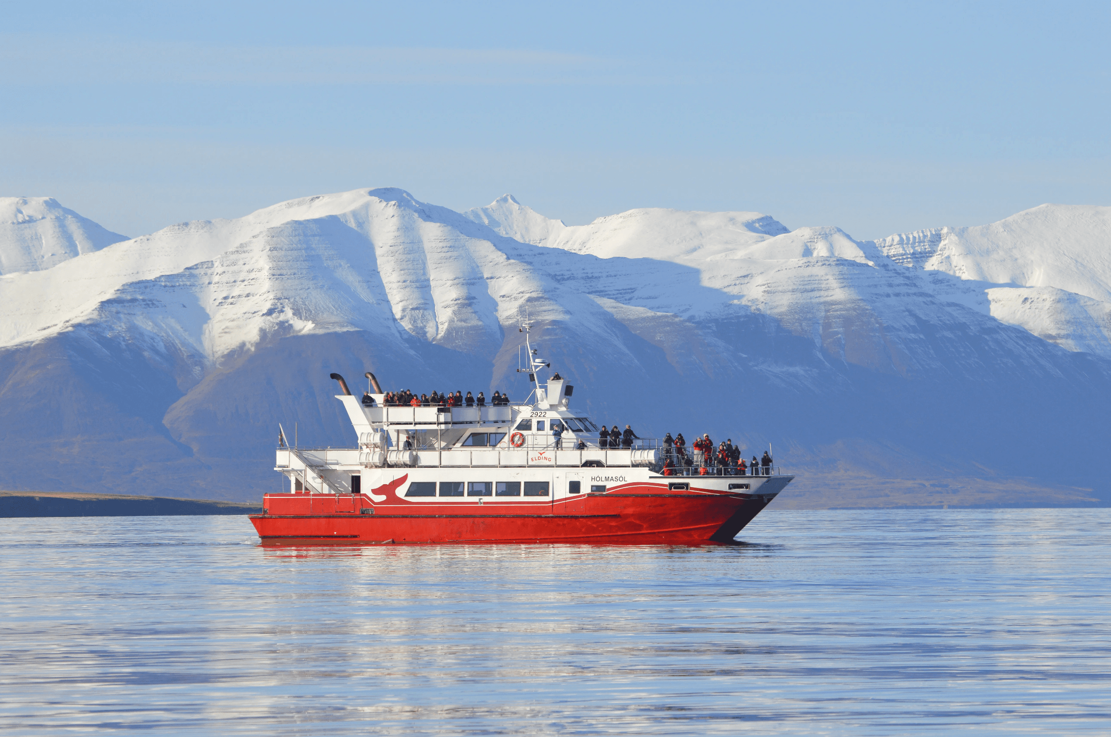 Akureyri Classic Whale Watching - photo 15