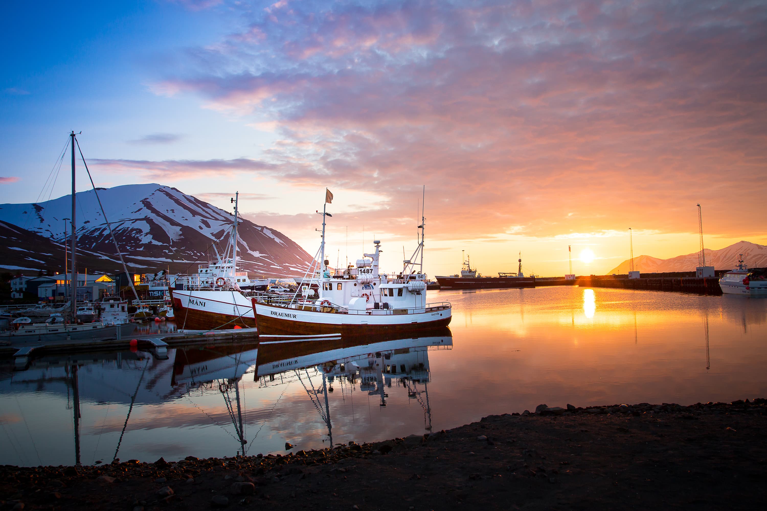 Classic Whale Watching from Dalvík