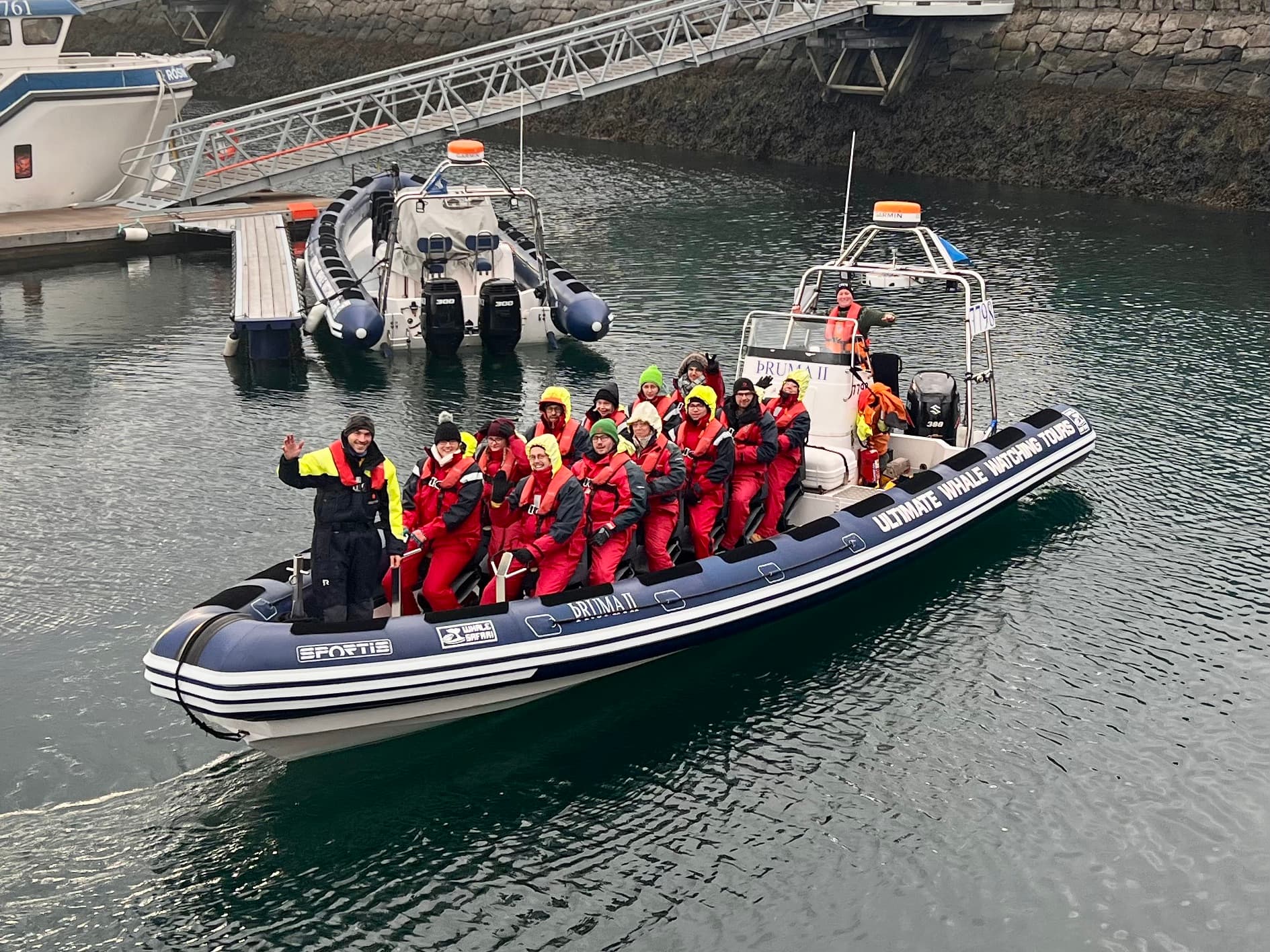 Reykjavík Premium Whale Watching - photo 25