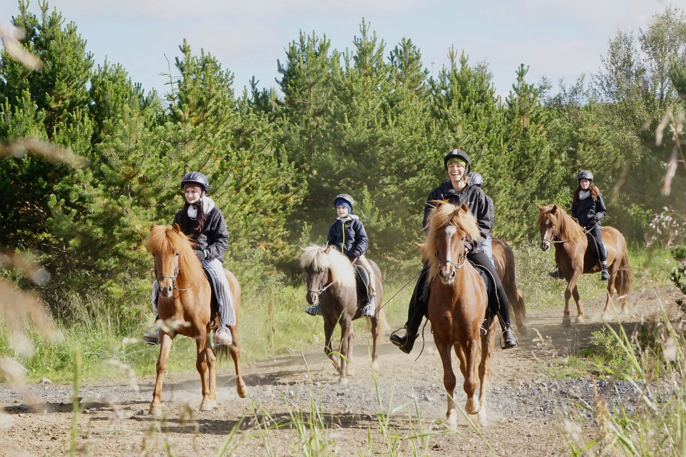Horse Riding and Fly-Over Iceland - photo 4