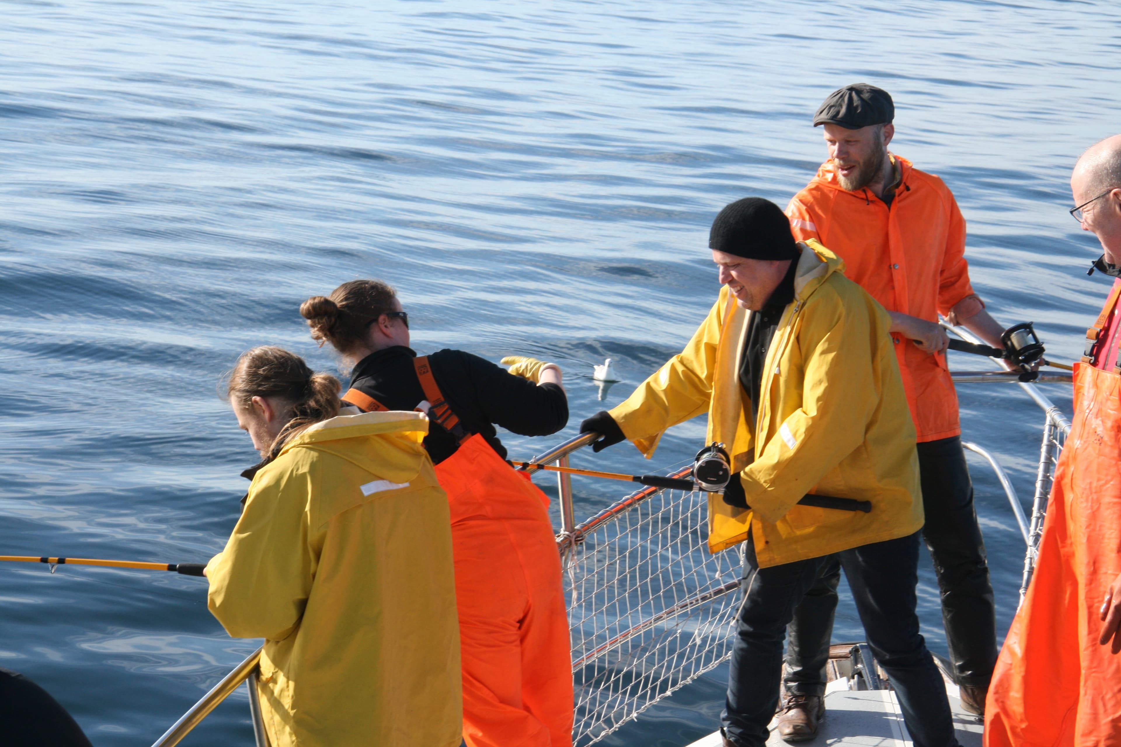 Reykjavík Sea Angling Gourmet - photo 2