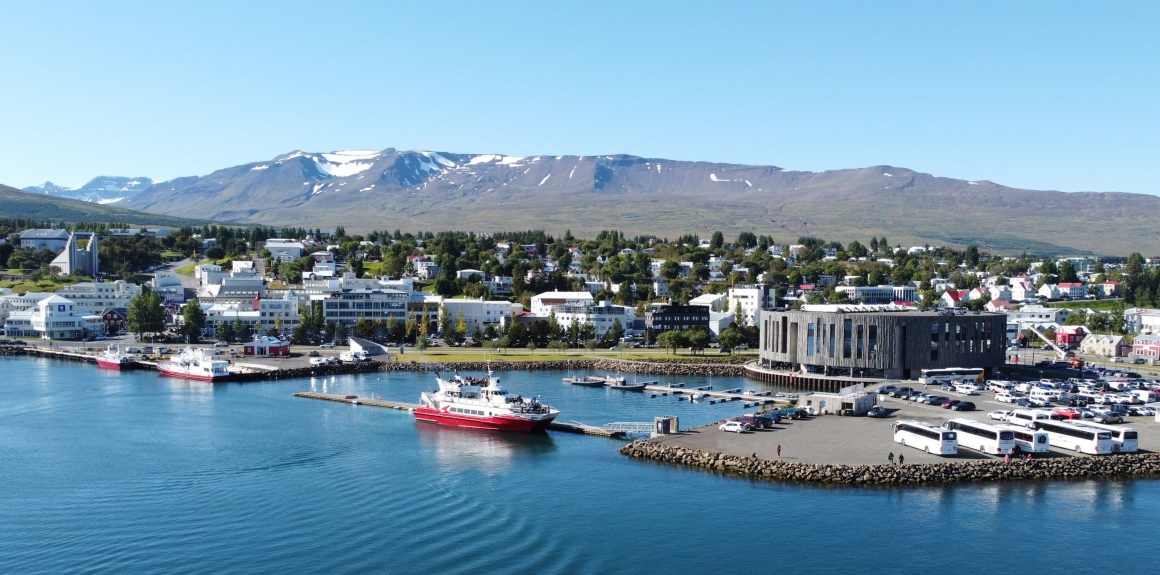 Akureyri Classic Whale Watching - photo 26